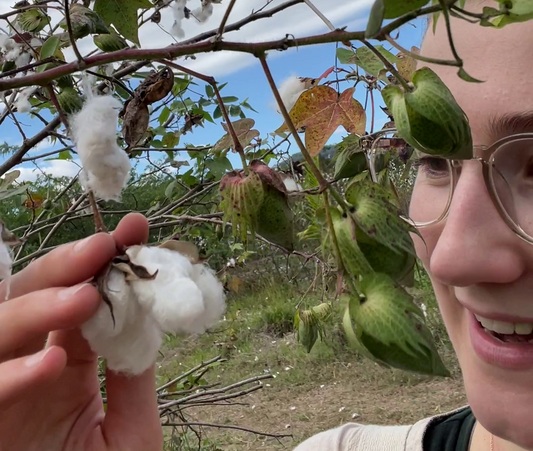 What is organic cotton? Organic cotton facts & what makes it better than normal cotton