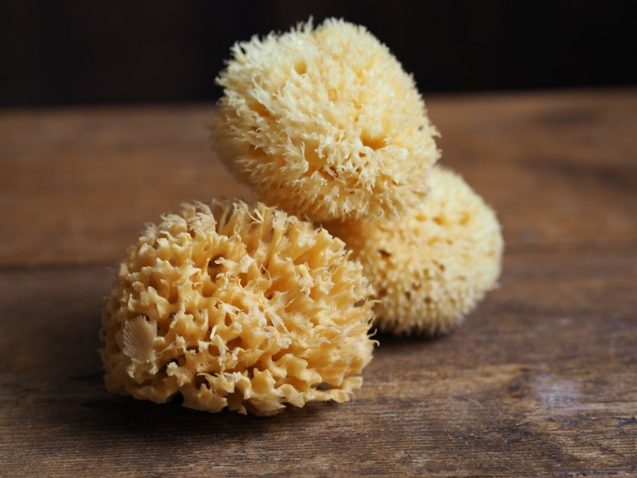 Natural Sustainably Sourced Sea Sponge - Small