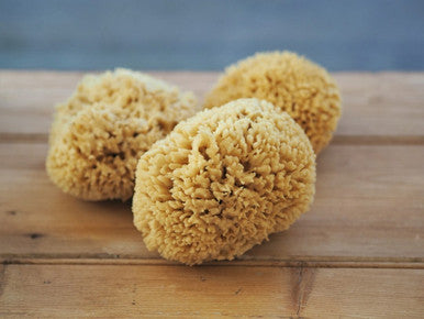 Natural Sustainably Sourced Sea Sponge - Large