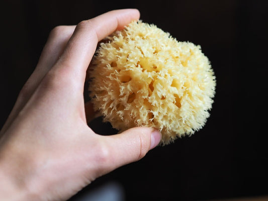 Natural Sustainably Sourced Sea Sponge - Small